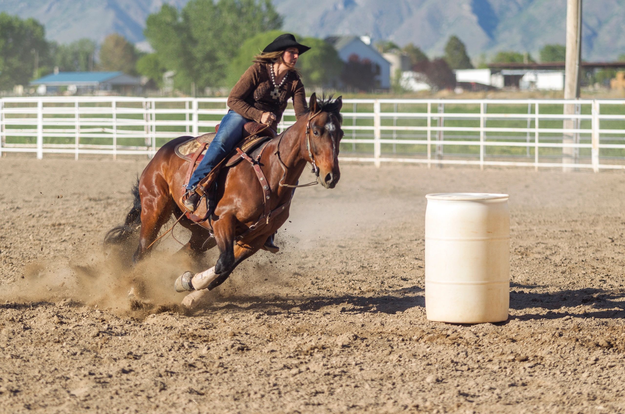 Rider on horseback in a rodeo arena