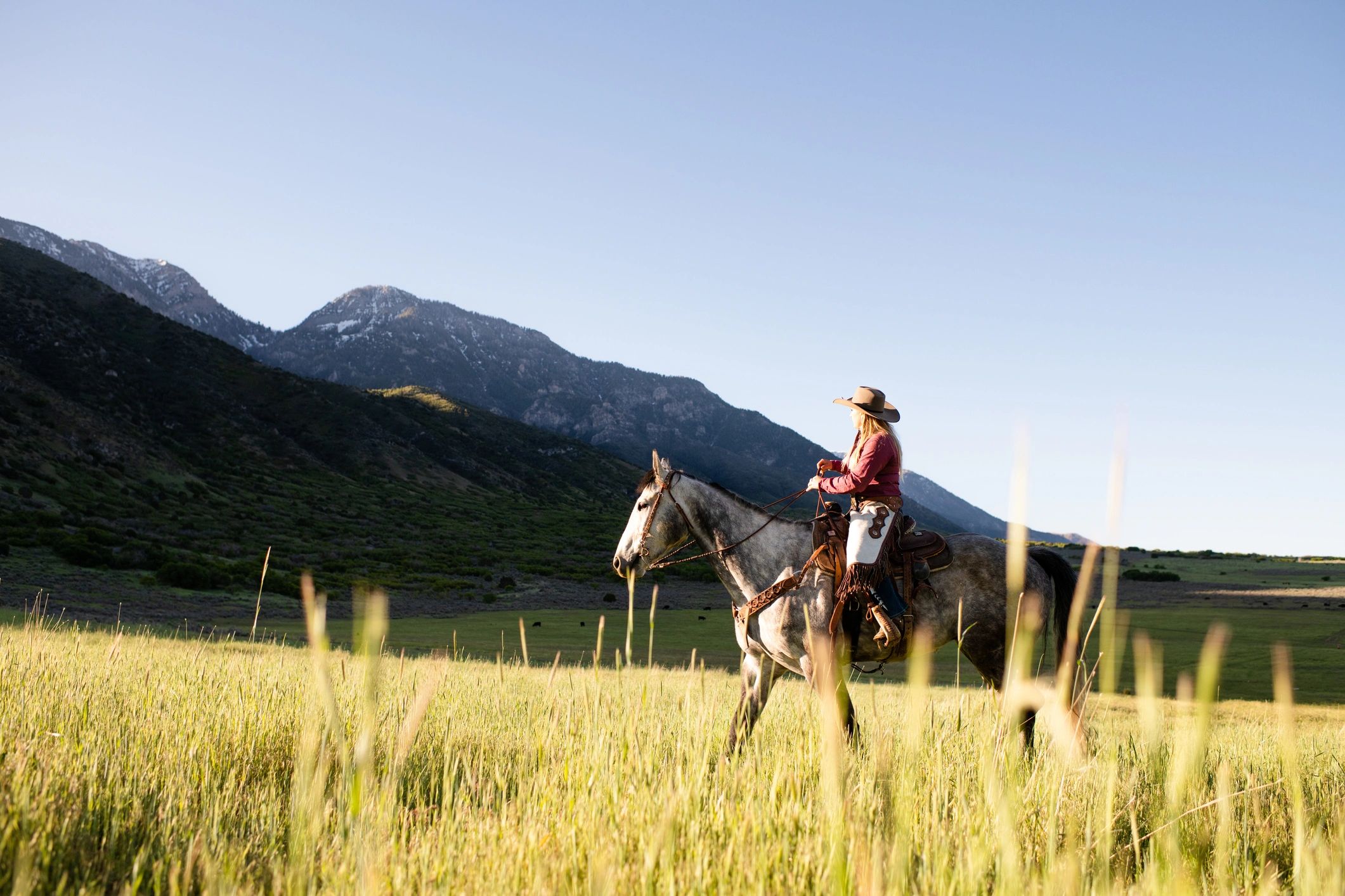 Rider on horseback moving across open country at sunrise