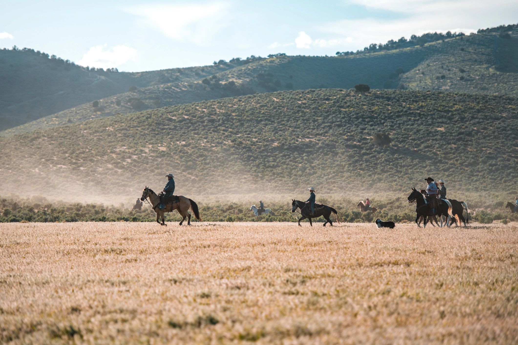Group of cowgirls and cowboys riding horses across an open field