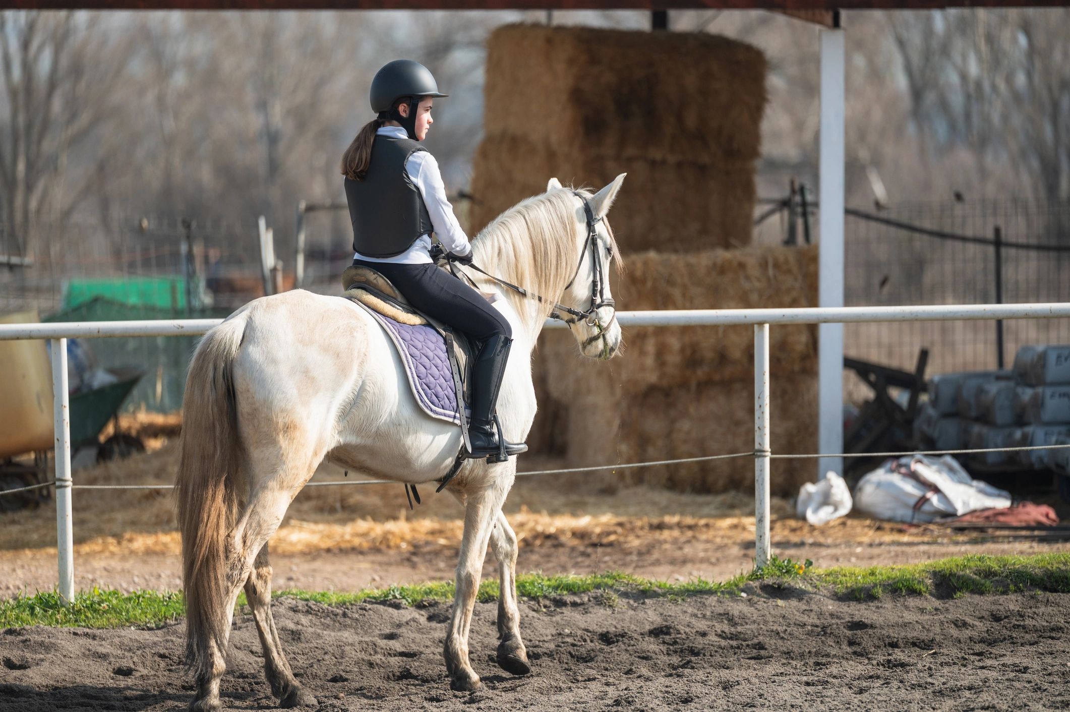 Rider training a horse in an outdoor paddock