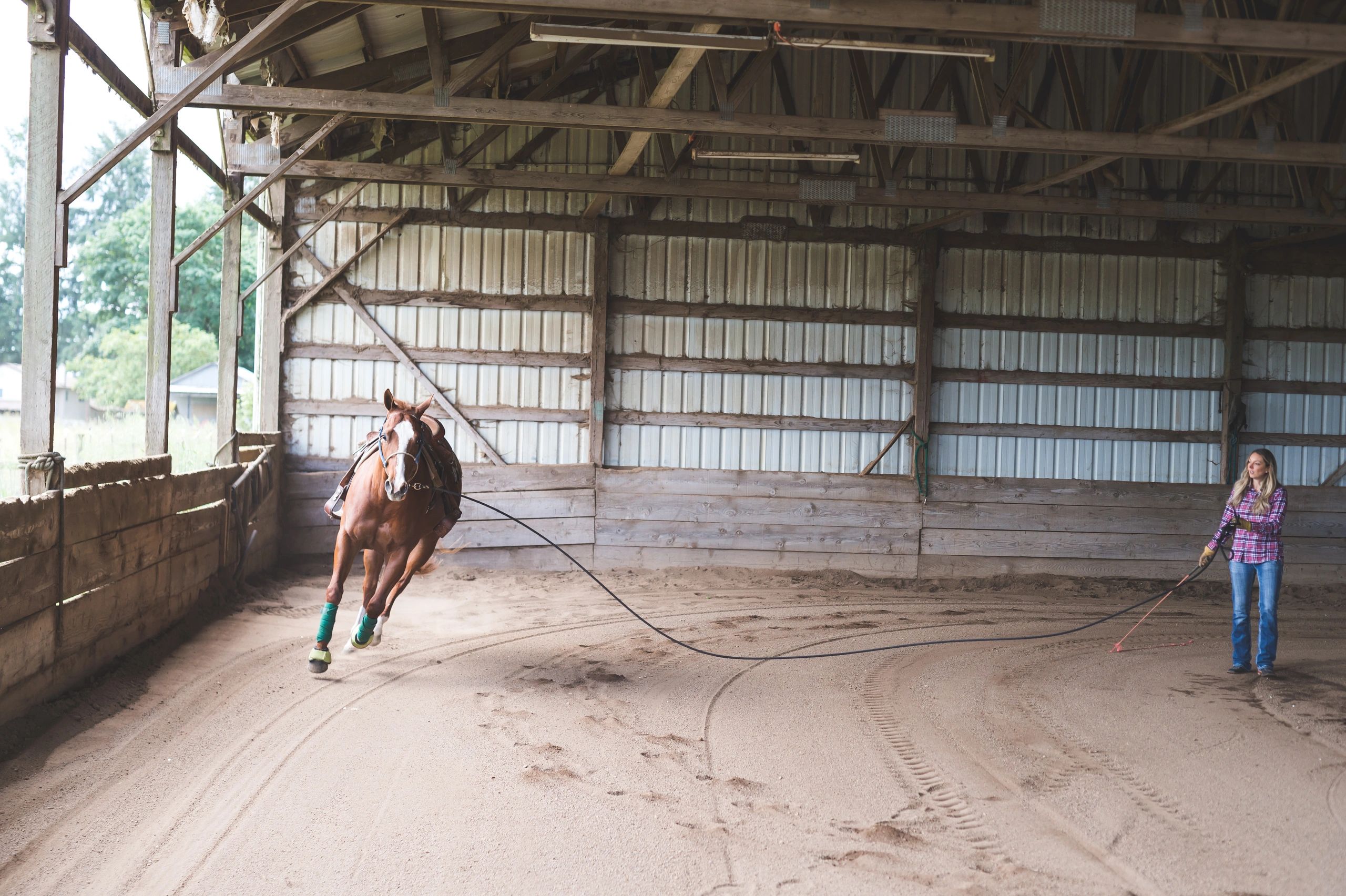 Trainer working a horse on a lunge line in a sandy arena